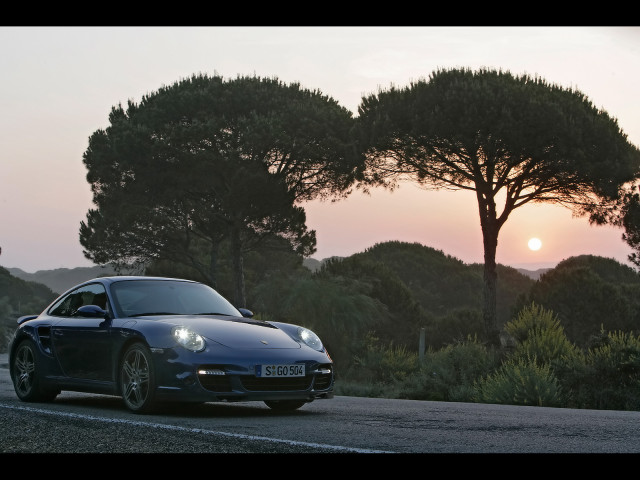 porsche 911 turbo (996) pic #44596