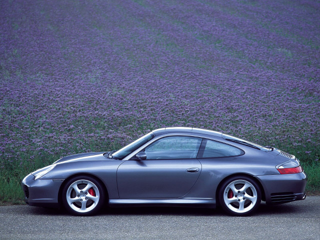 porsche 911 carrera pic #8408