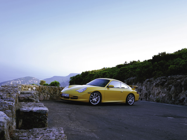 porsche 911 gt3 pic #8534