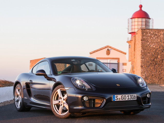 porsche cayman pic #99075