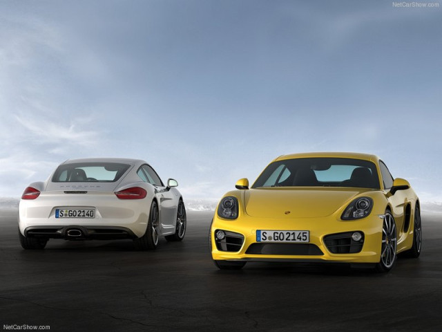 porsche cayman pic #99099