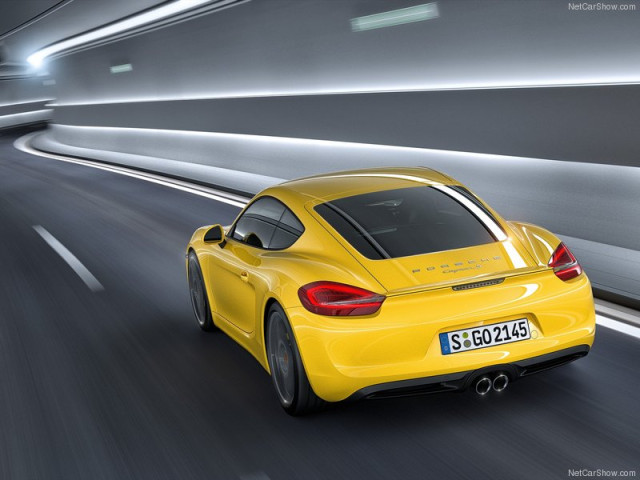 porsche cayman pic #99101