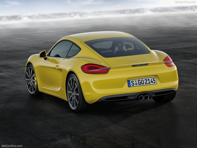 porsche cayman pic #99105