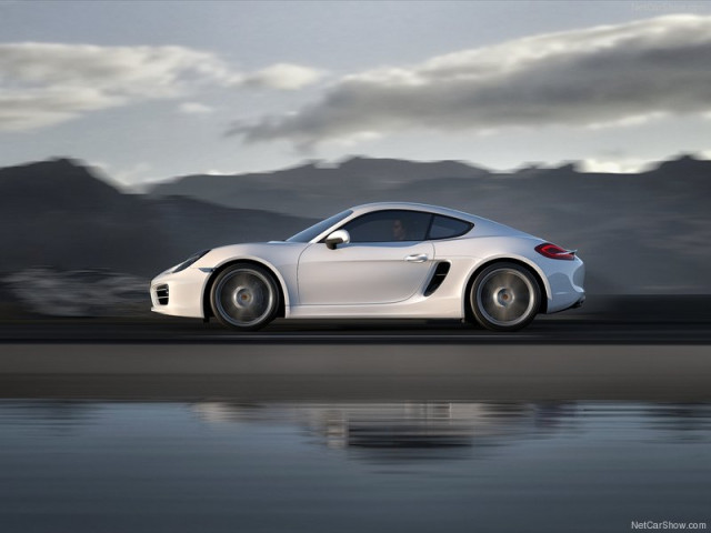 porsche cayman pic #99107