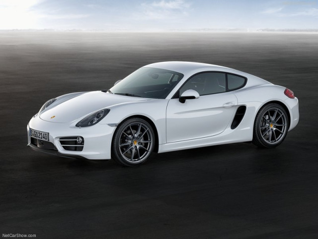 porsche cayman pic #99109