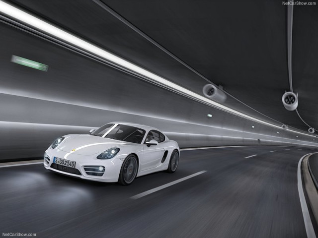 porsche cayman pic #99113