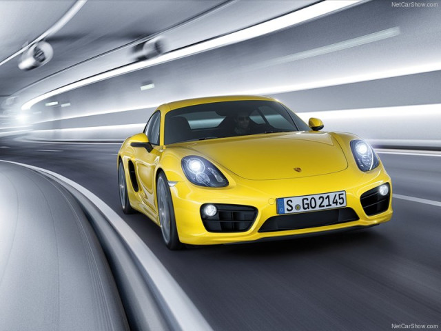 porsche cayman pic #99115