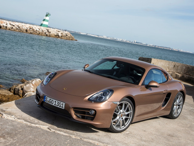 porsche cayman pic #99552