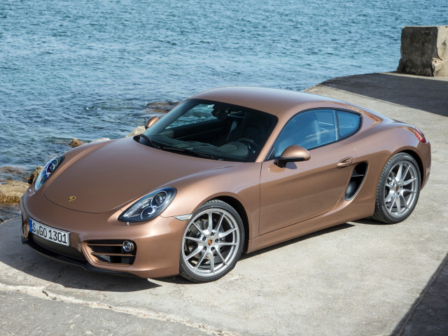 porsche cayman pic #99554