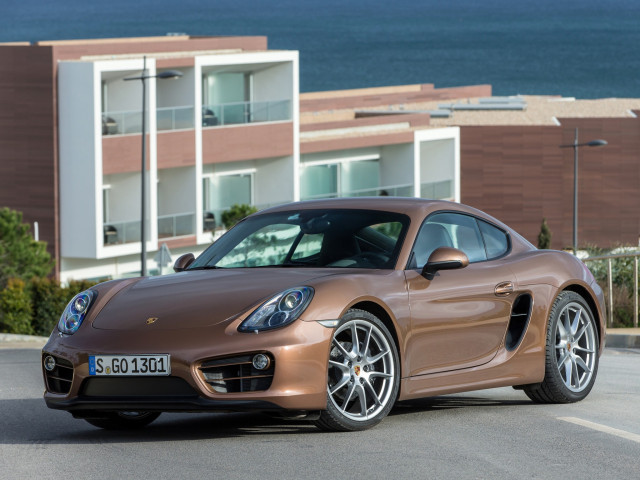 porsche cayman pic #99556