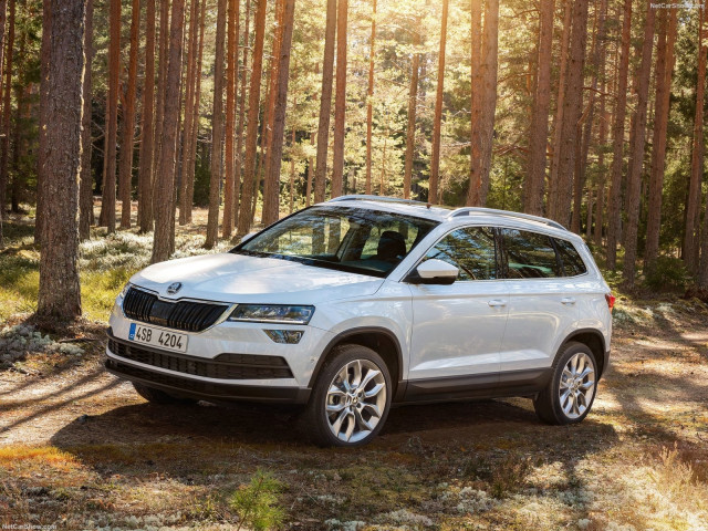 skoda karoq pic #181363