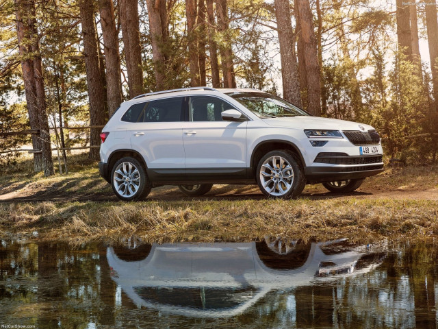 skoda karoq pic #182459