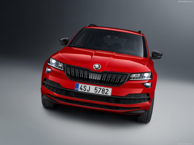 skoda karoq pic #191013