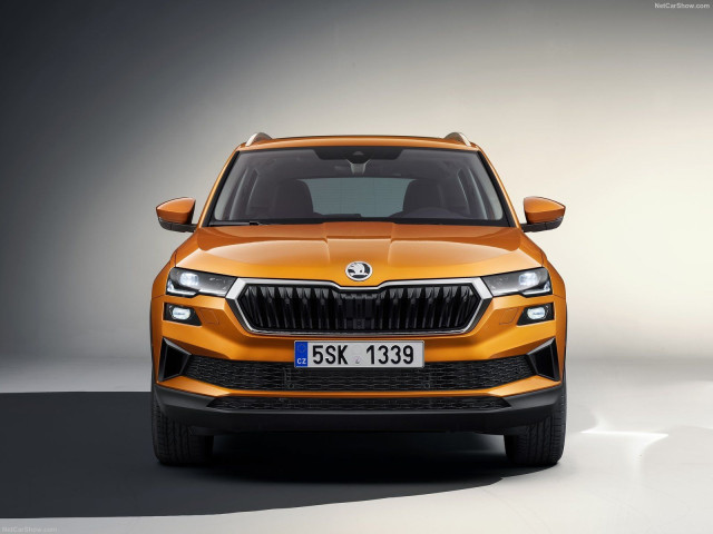 skoda karoq pic #200507