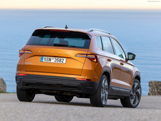 skoda karoq pic #202125