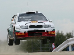 Fabia WRC photo #28918