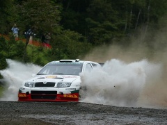 Fabia WRC photo #28920