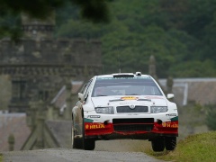 Fabia WRC photo #28925