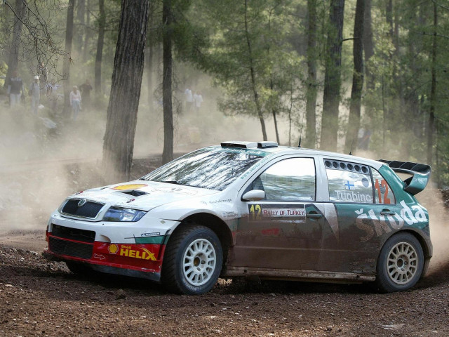 skoda fabia wrc pic #28949