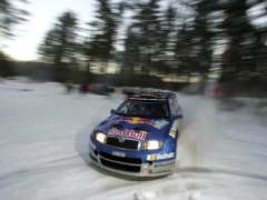 Fabia WRC photo #32494