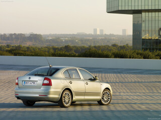 Skoda Octavia II (1Z)