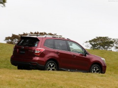 Forester photo #145060