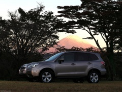 Forester photo #145067