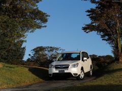 Forester photo #145078