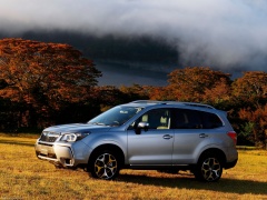 Forester photo #145084