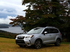Forester photo #145091