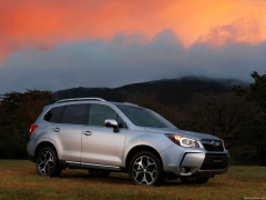 Forester photo #145093