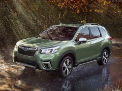 Forester photo #187557