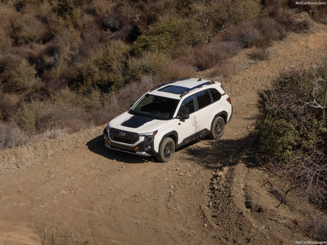 subaru forester wilderness pic #206229