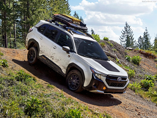 subaru forester wilderness pic #206232