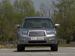 Forester photo #50409