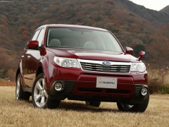 Forester photo #50440