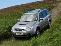 Forester photo #86243