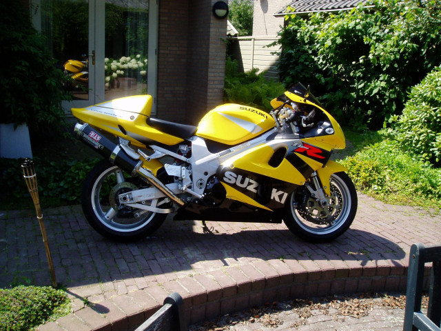 suzuki tl1000r pic #31369