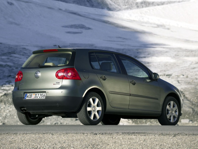 volkswagen golf v pic #11292