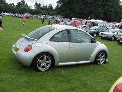 volkswagen new beetle pic #1293