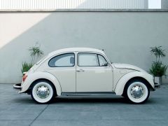 volkswagen beetle pic #17905