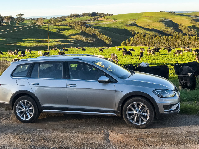 volkswagen golf alltrack pic #179331