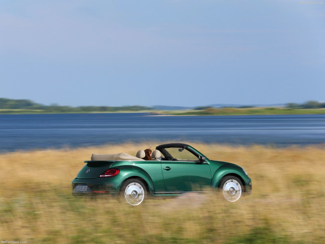 volkswagen beetle pic #182065