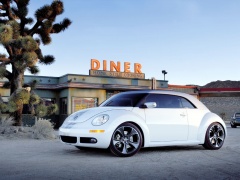 New Beetle Ragster photo #18924
