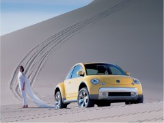 New Beetle Dune photo #9720