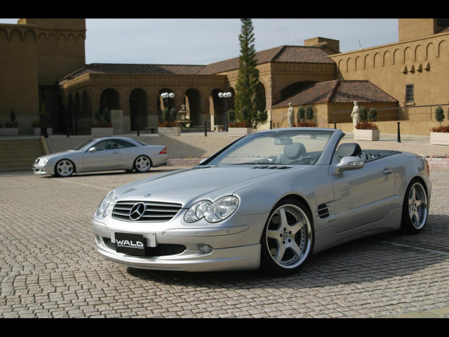 wald bercedes benz sl500 pic #26128