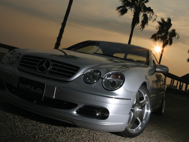 wald bercedes benz cl600 pic #26138