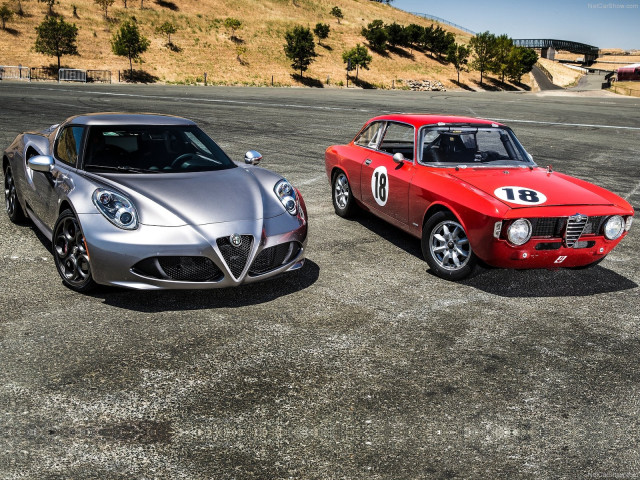 alfa romeo 4c coupe us-version pic #121936