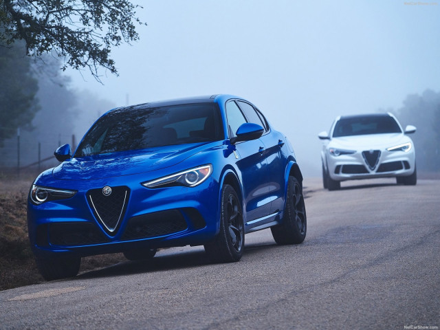 alfa romeo stelvio pic #188052