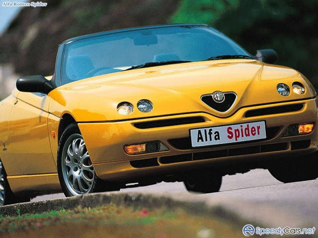 alfa romeo spider pic #3214